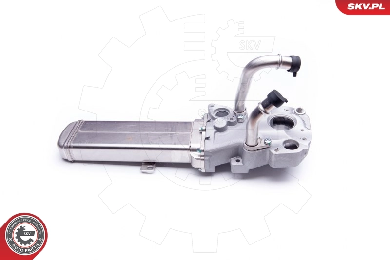 EGR Valve